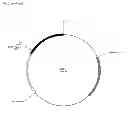 Fig. 05 - Targeted alteration of DNA