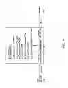 Fig. 11 - Meganuclease recombination system