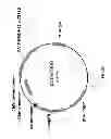 Fig. 24 - Meganuclease recombination system
