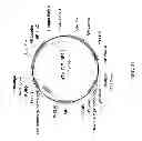 Fig. 33 - Meganuclease recombination system