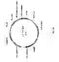 Fig. 35 - Meganuclease recombination system