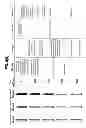 Fig. 07 - Method of quantifying UV disinfecting doses applied to an ophthalmic lens using indicators