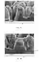 Fig. 07 - TRANSPARENT CONDUCTIVE ELECTRODE FOR THREE DIMENSIONAL PHOTOVOLTAIC DEVICE