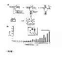 Fig. 02 - Catalytic nucleic acid probes as microbial indicators