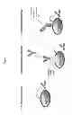 Fig. 02 - Methods for identifying and isolating cells expressing a polypeptide