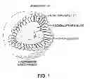 Fig. 02 - Nanoparticle macro-compositions