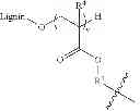 Fig. 08 - Lignin derivatives having polycations and uses thereof