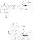 Fig. 79 - NOVEL COMPOUNDS AND COMPOSITIONS AND METHODS OF USE