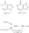 Fig. 86 - NOVEL COMPOUNDS AND COMPOSITIONS AND METHODS OF USE