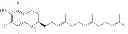 Fig. 22 - Reduction in complement activation and inflammation during tissue injury by carotenoids, carotenoid analogs, or derivatives thereof