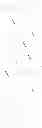 Fig. 33 - Reduction in complement activation and inflammation during tissue injury by carotenoids, carotenoid analogs, or derivatives thereof