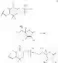 Fig. 64 - Reduction in complement activation and inflammation during tissue injury by carotenoids, carotenoid analogs, or derivatives thereof
