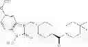 Fig. 167 - WNT PATHWAY ANTAGONISTS