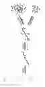 Fig. 02 - Degradable polymers, methods of making the same, and uses thereof