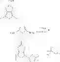 Fig. 25 - Semiconducting polymers