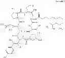 Fig. 06 - PROCESS FOR PREPARATION OF CASPOFUNGIN ACETATE AND INTERMEDIATES