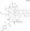 Fig. 07 - PROCESS FOR PREPARATION OF CASPOFUNGIN ACETATE AND INTERMEDIATES