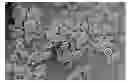 Fig. 01 - Dissolution of oxidized cellulose and particle preparation by cross-linking with multivalent cations