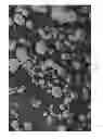 Fig. 08 - Dissolution of oxidized cellulose and particle preparation by cross-linking with multivalent cations