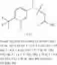 Fig. 40 - Functionalized pyridine N-oxides and processes for the preparation of the same