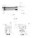 Fig. 14 - SYSTEMS AND METHODS FOR ANALYSIS AND TREATMENT OF A BODY LUMEN