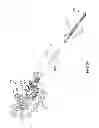 Fig. 35 - Surgical instruments with articulating shafts
