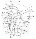 Fig. 01 - Proximal humeral head