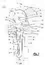 Fig. 09 - Proximal humeral head