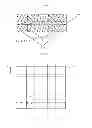 Fig. 06 - NOVEL BIOLOGICAL IMPLANT COMPOSITIONS, IMPLANTS AND METHODS