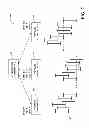 Fig. 07 - Classification of data in main memory database systems