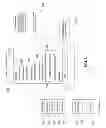 Fig. 07 - Dynamic resolution of servers in a distributed environment