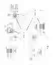 Fig. 02 - Annotating electronic presentation