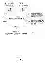 Fig. 08 - Cloud Storage and Processing System for Mobile Devices, Cellular Phones, and Smart Devices