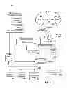 Fig. 02 - Unifying conflicting media identifiers