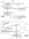 Fig. 02 - Memory pre-characterization