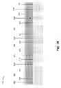 Fig. 43 - DIGITAL LINK VIEWER