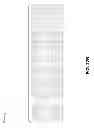 Fig. 40 - Digital link viewer