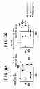 Fig. 08 - Electronic apparatus and control method thereof