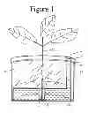 Fig. 02 - SELF WATERING PLANT SYSTEM