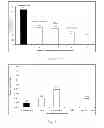 Fig. 06 - Liquid drainage from coalescing filter medium with drainage channels