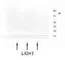 Fig. 02 - THIN FILM SOLAR CELL AND METHOD OF MANUFACTURING THE SAME