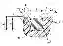 Fig. 01 - Pneumatic tire tread