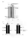 Fig. 02 - METHOD OF PRODUCING HYDROCARBONS USING A FUEL CELL, AND FUEL STORAGE SYSTEM COMPRISING THE FUEL CELL