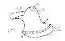 Fig. 01 - Device and method for guiding latch-on