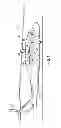 Fig. 02 - Helicopter drip pan