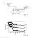 Fig. 02 - MAGNETIC FILTRATION PROCESS, MAGNETIC FILTERING MATERIAL, AND METHODS OF FORMING MAGNETIC FILTERING MATERIAL