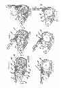 Fig. 09 - Tensioning assembly