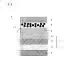 Fig. 02 - ORGANIC ELECTROLUMINESCENCE ELEMENT