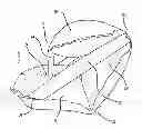Fig. 01 - Airbag with low-volume structure