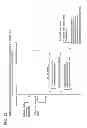 Fig. 133 - Communication device for performing wireless communication with an external server based on information received via near field communication